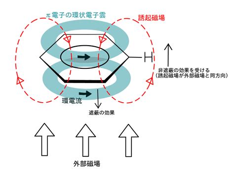 環境磁場|磁場の生体影響研究の必要性｜国環研ニュース 9巻｜国立環境研 